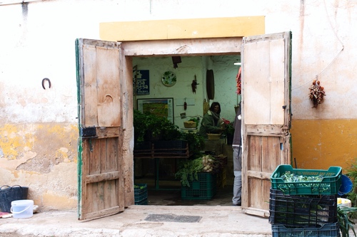 Bio-Fincas auf Mallorca